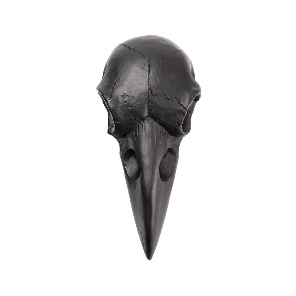 Raven Skull Hand Mirror - Black (Mirror)